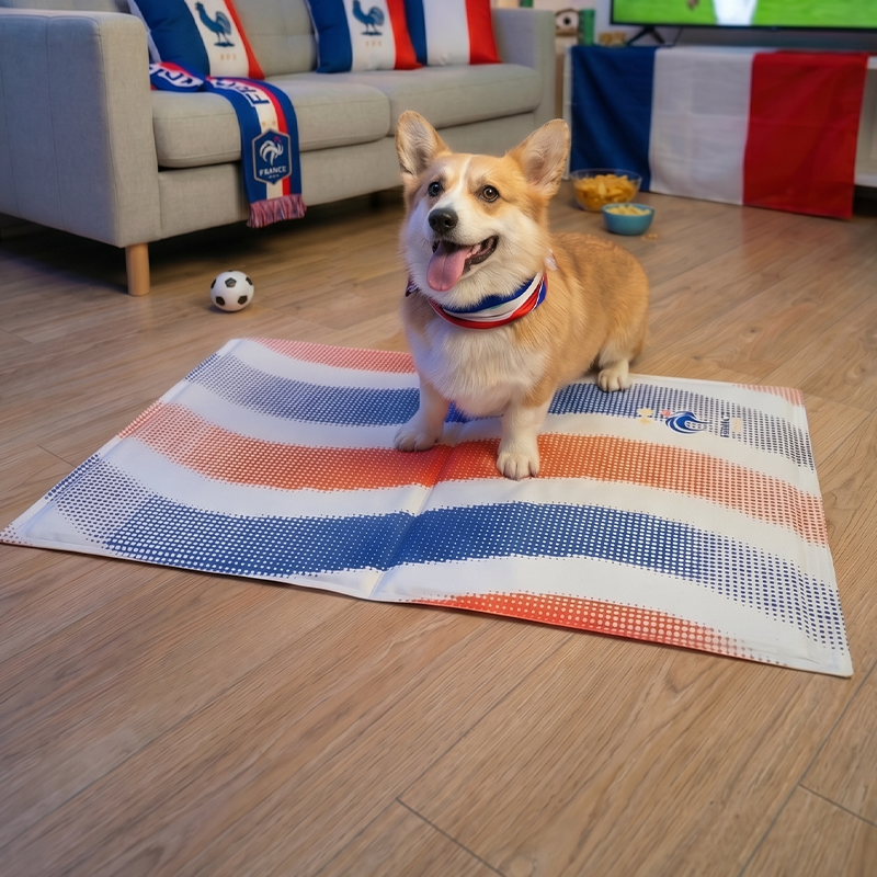 France FFF Pet Cooling Mat